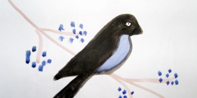 Пошаговое рисование птицы в детском саду
